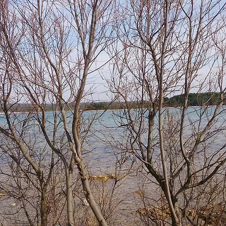 Mendula