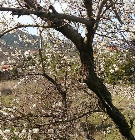 公寓 Mendula Pašman